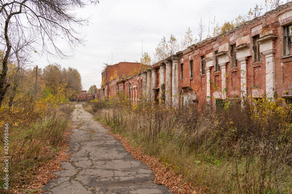 Abandoned brick factory in autumn forest