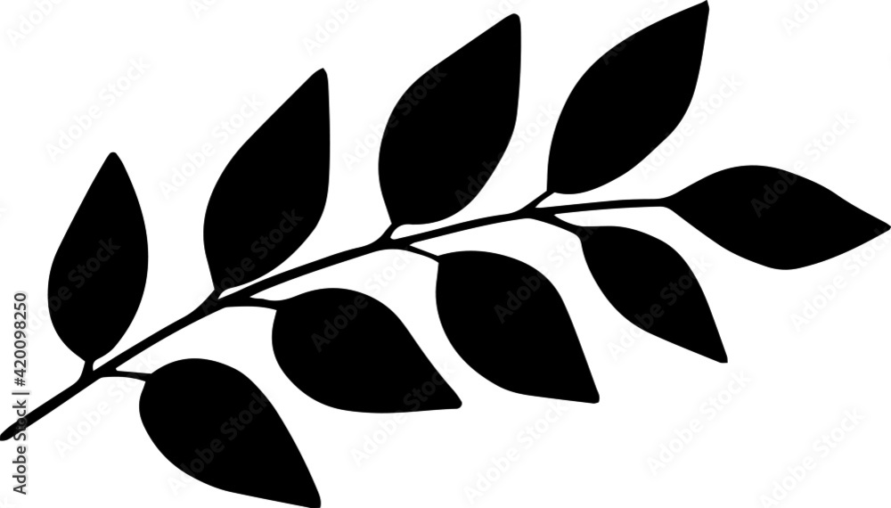 Vector doodle abstract drawing herbs and flowers, minimal floral elements desing Vector doodle abstract drawing herbs and flowers, minimal floral elements desing
