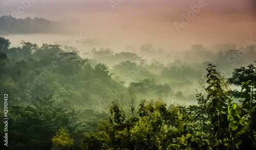 misty morning landscape forest photo