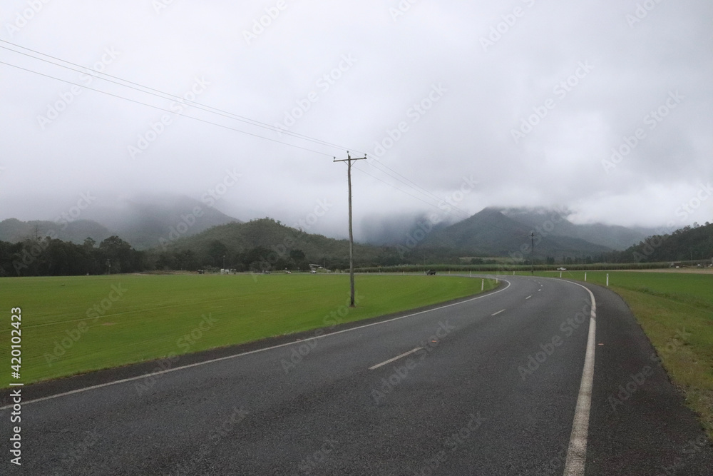 Fototapeta premium road in the countryside