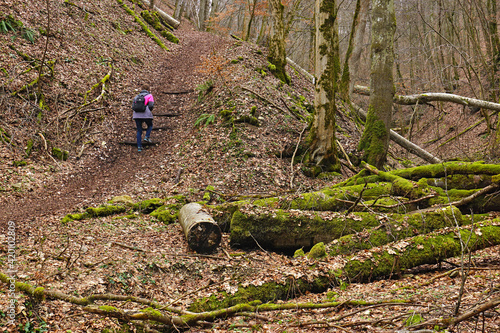 Wandern auf der Schwäbischen Alb bei Schlattstall durch die Lange Steige photo