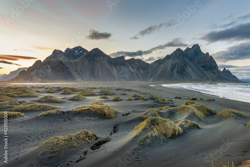 Vestrahorn mountain on Stokksnes cape in Iceland during sunset with a group of horses by the beach. One of the most famous travel locations in Iceland