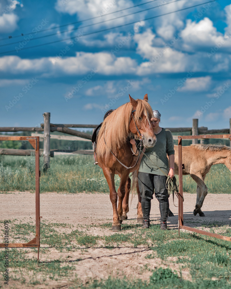 Obraz premium Young beautiful girl stands next to a horse on a summer farm.