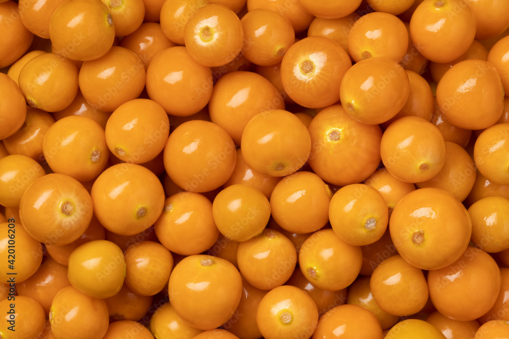 Fresh orange goldenberries close up full frame Fresh orange goldenberries close up full frame