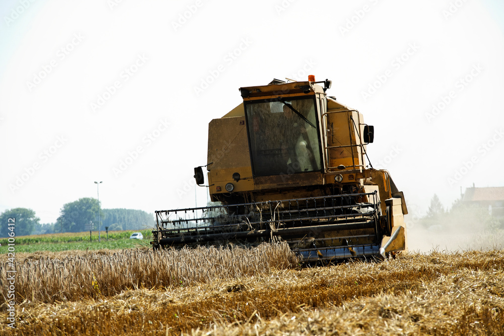 Obraz premium moissonneuse