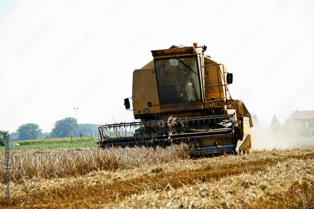 Obraz premium moissonneuse