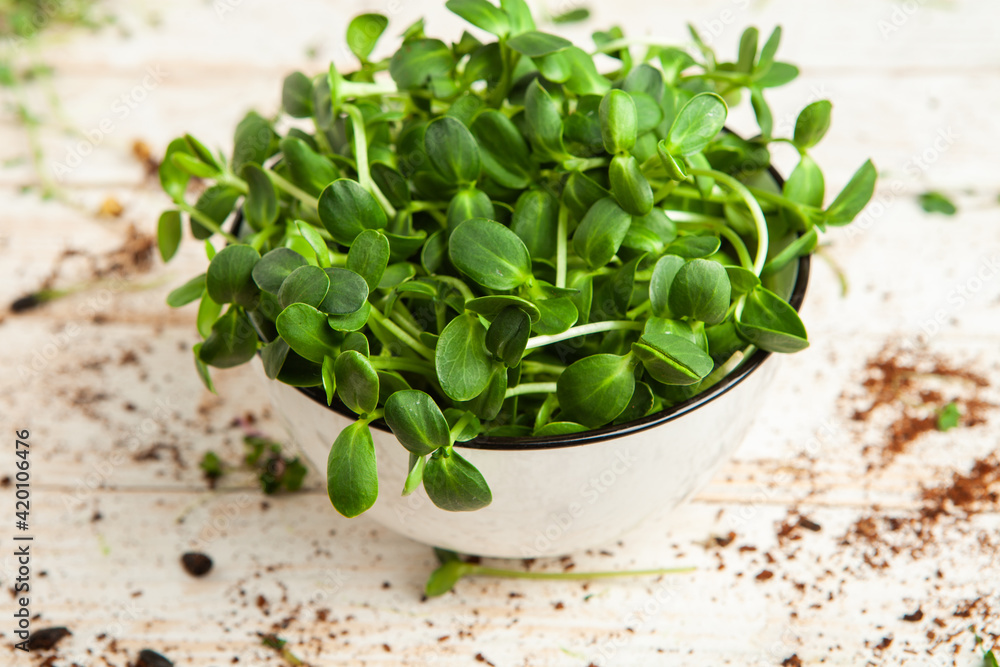 Micro greens perfect fresh vegetables, herbs and greens with high levels of antioxidants, vitamins, minerals and enzymes Micro greens perfect fresh vegetables, herbs and greens with high levels of antioxidants, vitamins, minerals and enzymes