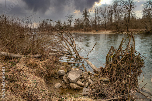 wilderness with the fallen trees on the river 