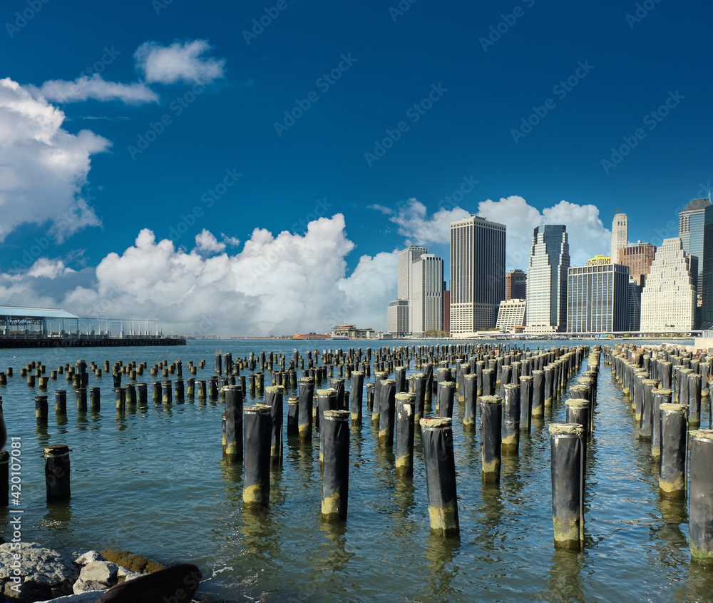 Fototapeta premium Lower Manhattan skyline view from Brooklyn