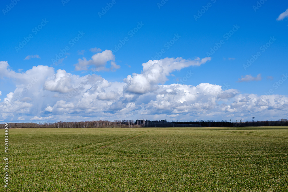 country landscape with green meadow and blue sky above