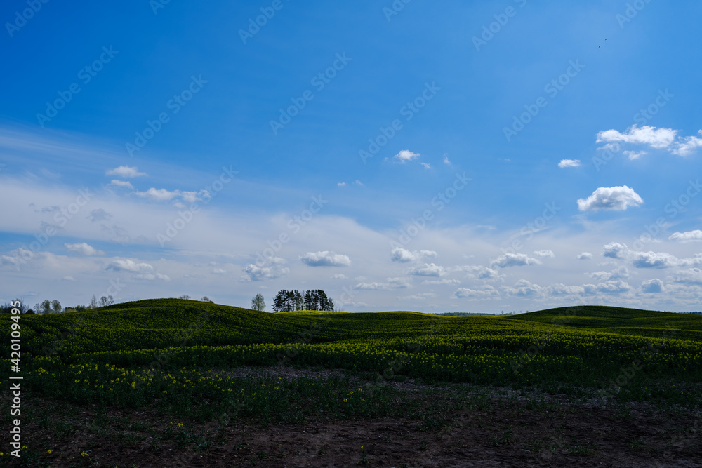 country landscape with green meadow and blue sky above country landscape with green meadow and blue sky above