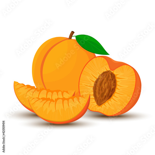 An image of a peach from different directions. Vector illustration in a flat style. Whole, half and sliced peach with bone.