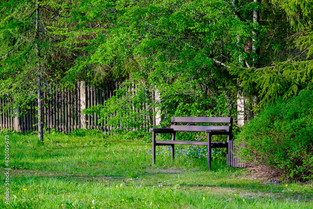 countryside house garden backyard in summer with old buildings and decorations