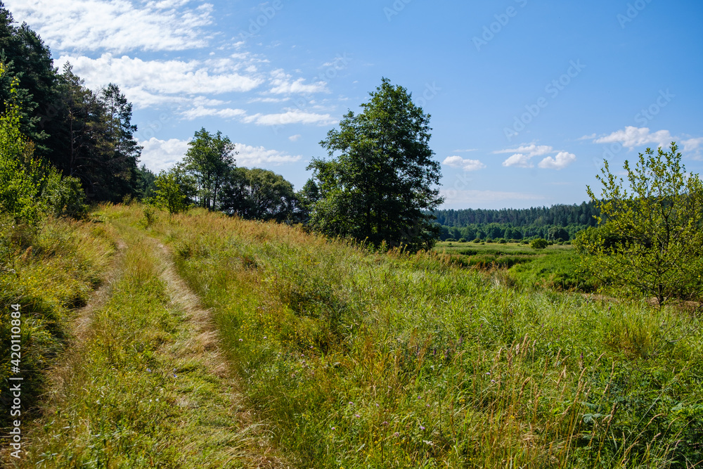 country landscape with green meadow and blue sky above
