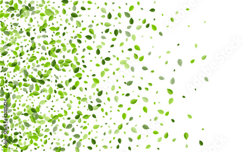 Lime Greens Spring Vector Pattern. Flying Leaf