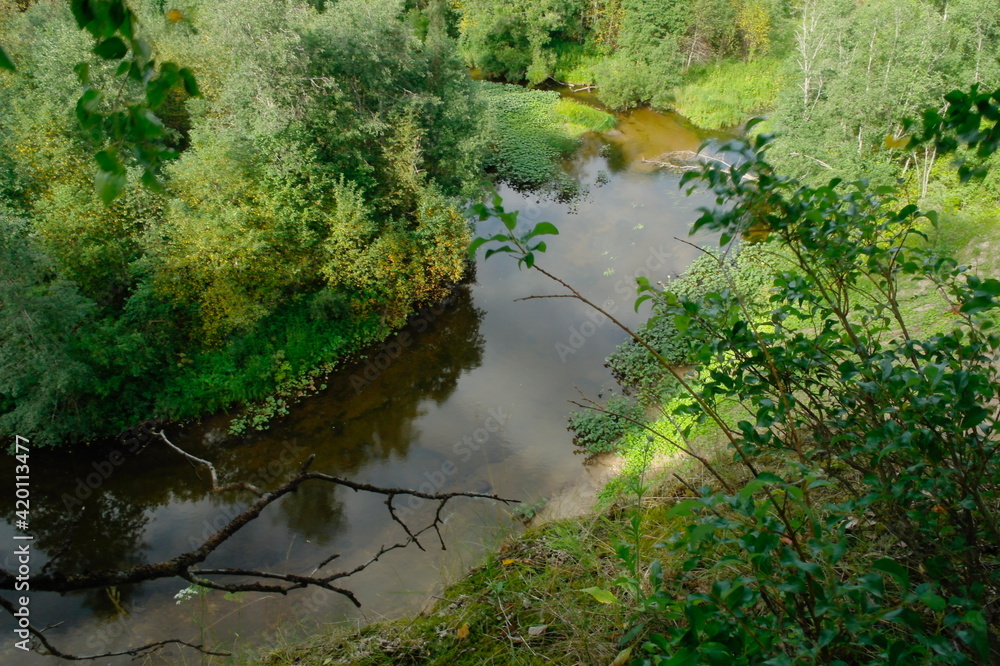steep river bank in summer steep river bank in summer