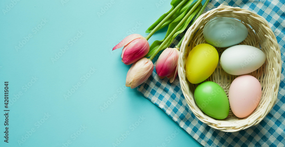 close up top view group of Easter eggs and tulip flowers on blue pastel color background with copy space for design in festival concept close up top view group of Easter eggs and tulip flowers on blue pastel color background with copy space for design in festival concept