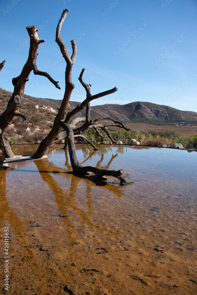 Fototapeta premium Water mirror in California