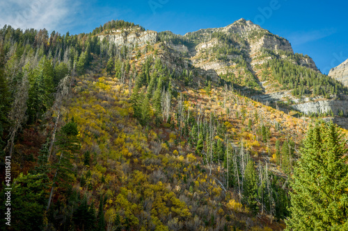 Remote Rugged Rocky Mountain Fall Colors