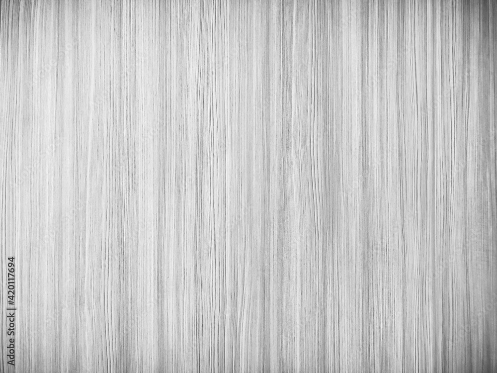 Obraz premium The softness of ply stripes plywood surface for background. Black and white background old plywood texture. Old plywood surface made into a black and white image. Vertical splinter display plywood.