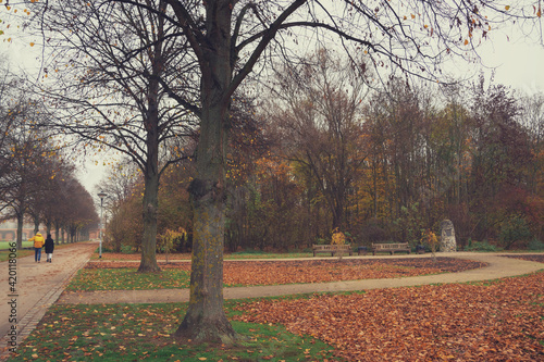 autumn park in ingolstadt bavaria germany
