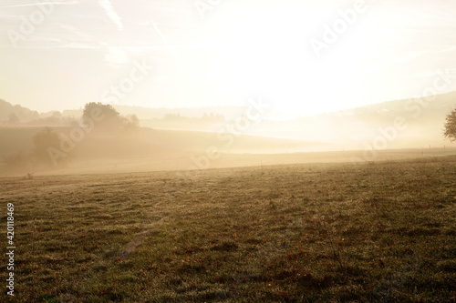 Nebel, Dunst, Morgennebel, Herbst, Waltershausen, Thueringen, Deutschland, Europa -- Fog, Haze, Morning fog, Autumn, Waltershausen, Thuringia, Germany, Europe