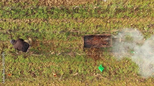 Brulage des sarments en Bourgogne photo