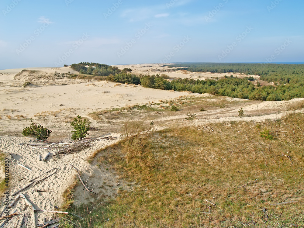 Endless sands of the Curonian Spit. Kaliningrad region. Kaliningrad region