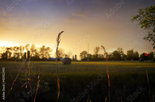 sunset hay bales field
