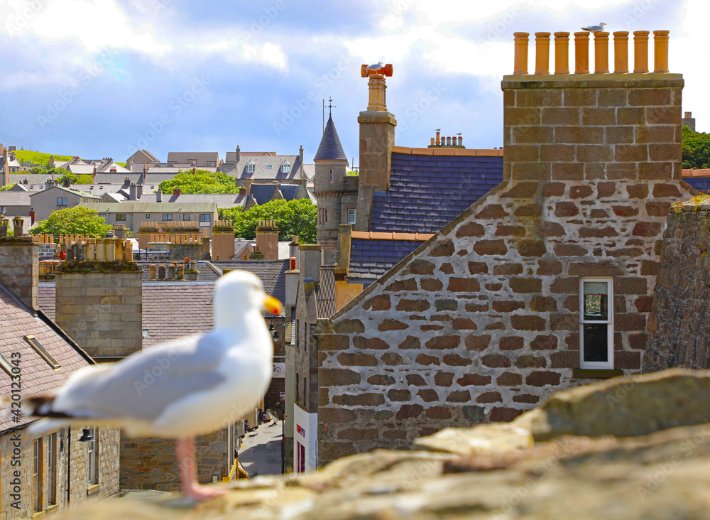 custom made wallpaper toronto digitalÜber den Dächern von Lerwick