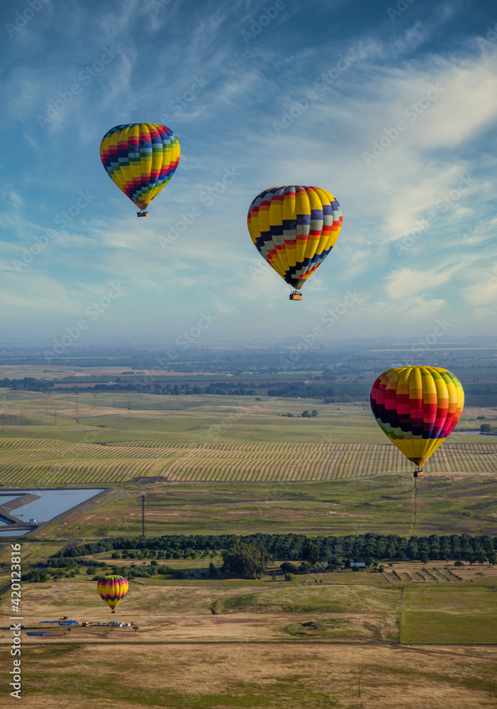 Fototapeta premium hot air balloon in flight on a sunny day