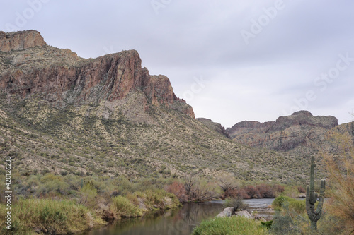 Desert river, mountains and vegetation in Sonoran Desert