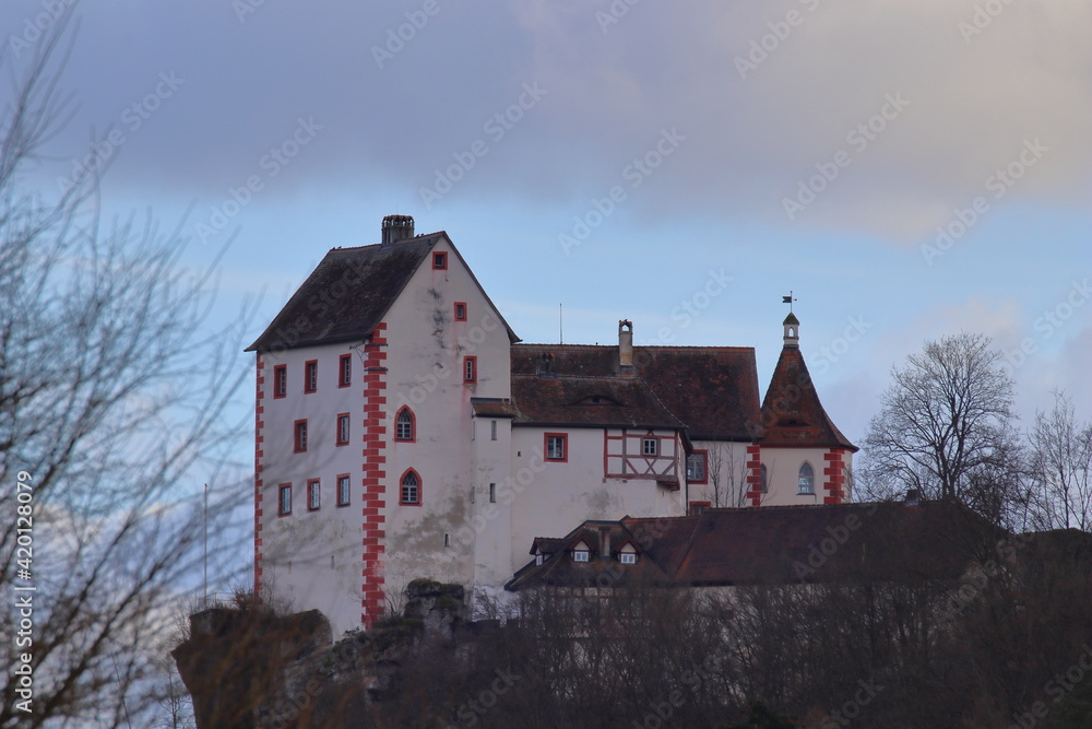 Fototapeta premium castle on a hill against a cloudy sky