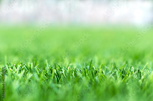 Artificial grass on the football field. Sports concept. Health care concept. Selective focus.