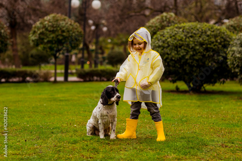 a beautiful girl in a yellow raincoat with a hood,and yellow boots, walks in the park with her favorite dog of the Russian spaniel breed