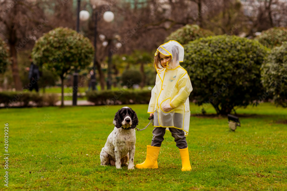 a beautiful girl in a yellow raincoat with a hood,and yellow boots, walks in the park with her favorite dog of the Russian spaniel breed a beautiful girl in a yellow raincoat with a hood,and yellow boots, walks in the park with her favorite dog of the Russian spaniel breed