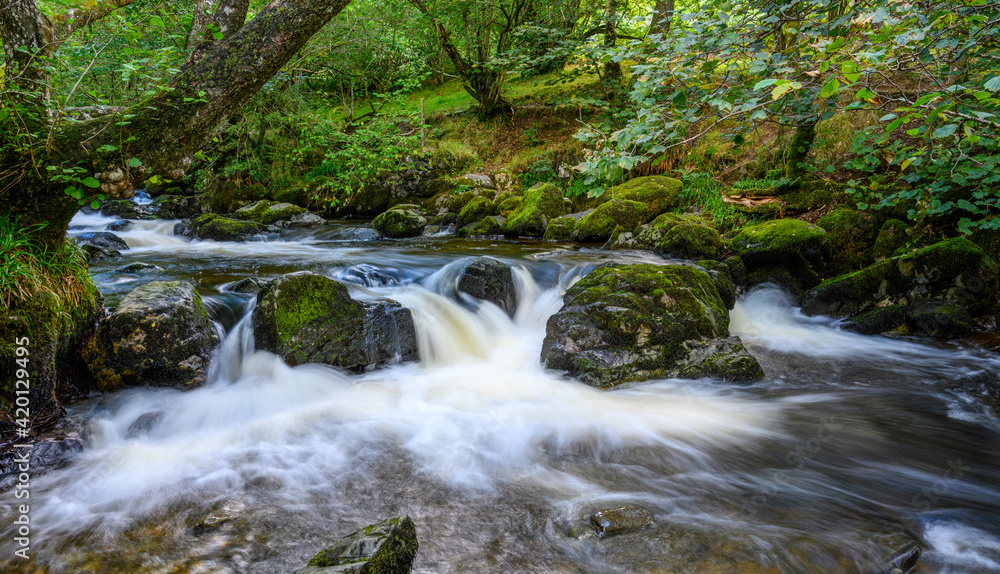 Waterfall in the forest 6127 Waterfall in the forest 6127