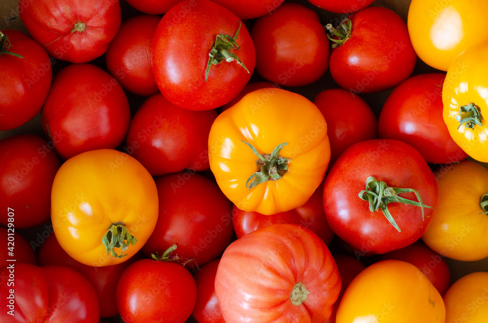 Red and yellow tomatoes background. Top view. Red and yellow tomatoes background. Top view.