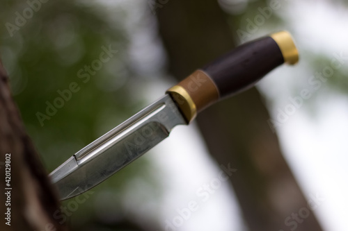 Old hunting knife stuck into a mouldering tree