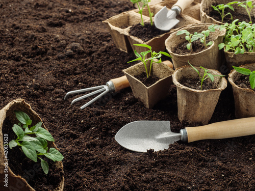 Gardening tools and plant seedlings are on the ground.