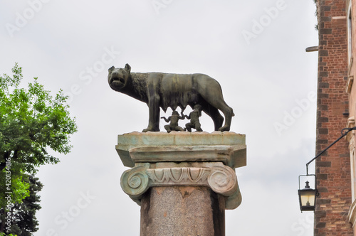 Capitoline Wolf (Lupa Capitolina) feeding Romulus and Remus - founders of city of Rome - on Capitoline Hill photo