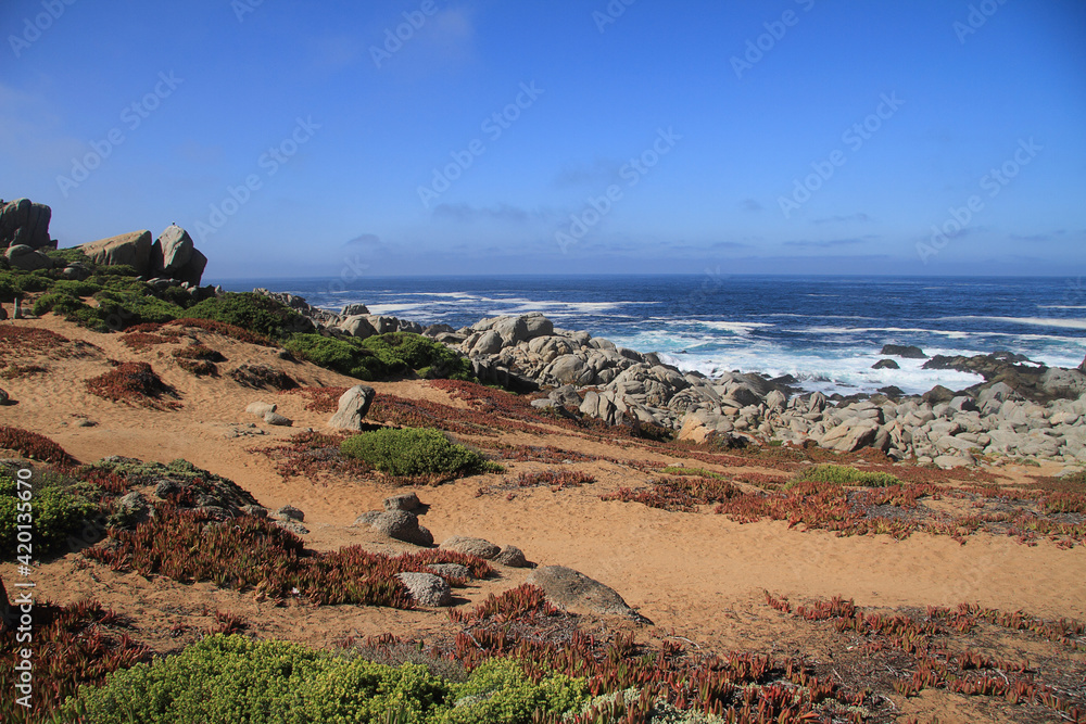 view of the coast of the sea