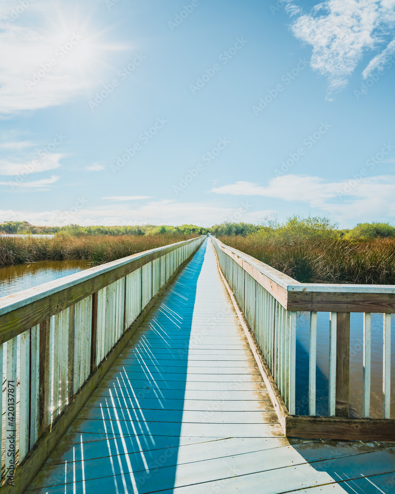 Long wooden boardwalk through the Lake. Oso Flaco Lake Natural Area, Oceano, California. Trip through several diverse natural habitats for viewing flora and fauna, vertical banner
