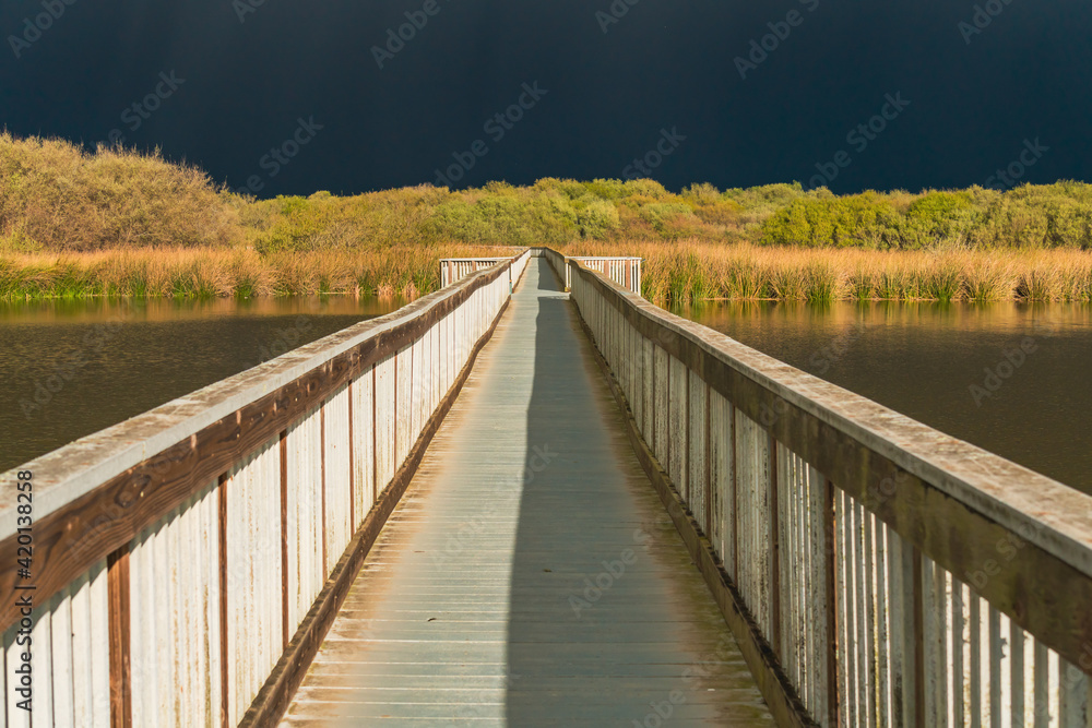 Fototapeta premium Lake and long wooden boardwalk through the lake with dark blue sky on background, few minutes before the storm. Oso Flaco Lake Natural Area in Oceano, California