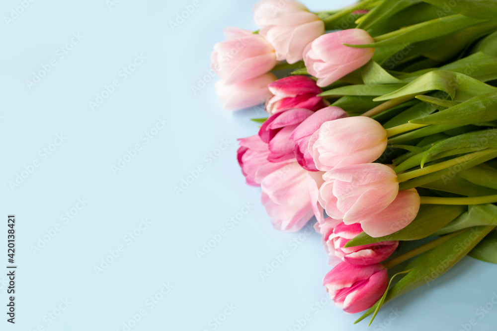 Easter background with tulips. Spring flowers for Easter holiday. Copy space