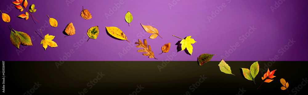 Colorful autumn leaves overhead view