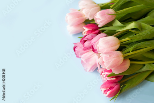 Wallpaper Mural Easter background with tulips. Spring flowers for Easter holiday. Copy space Torontodigital.ca