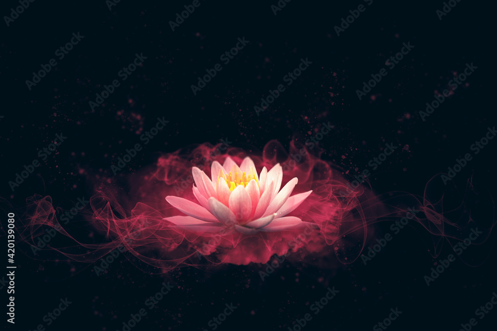 abstract background with lotus flower
abstract background with lotus flower