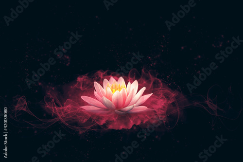 abstract background with lotus flower 