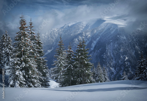 Winter in Godeanu Mountains, Carpathians, Romania, Europe